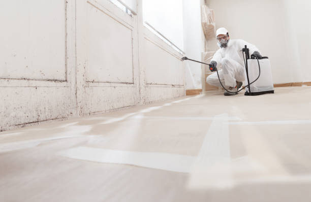 24/7 Emergency Black Mold Remediation experts in Ashburn, VA