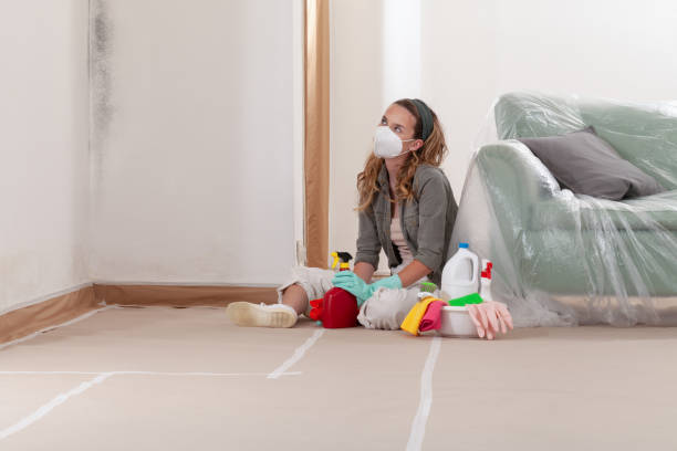 Reliable Black Mold Remediation contractor in Ashburn, VA by Car Mold Remediation